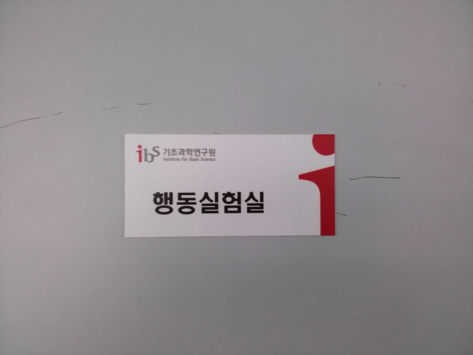 설치 및 사용 후기 사진